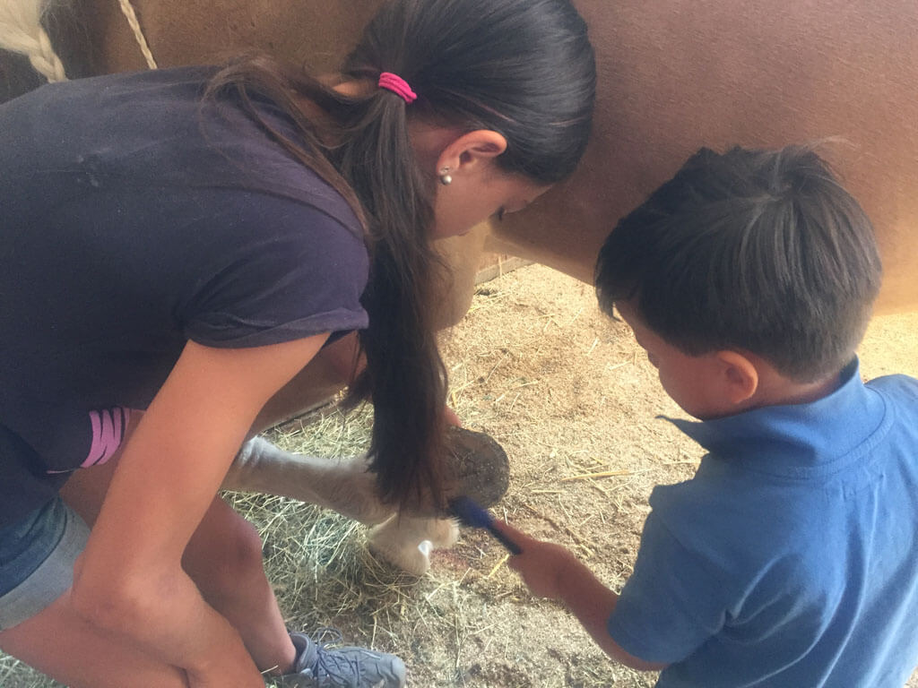 Bij de Hafflinger farm mogen de kinderen helpen bij het borstelen en opzadelen van de paarden.