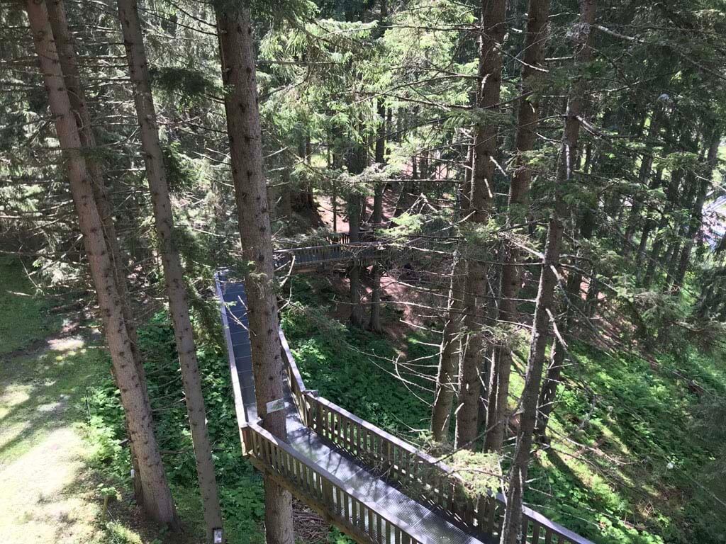 Bij deze wandeling loop je tussen de boomtoppen, op wel 42 meter boven de grond.