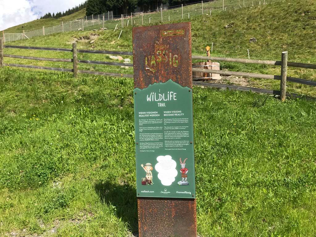 De Wild Life trail is ook een kindvriendelijke wandeling in Saalbach Hinterglemm en start bij 'the end of the valley'.