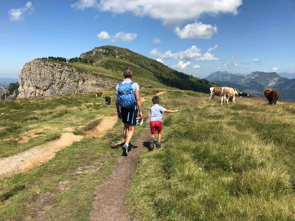 Het eerste stuk van de wandeling loopt over de bergkam van de Niederhorn.