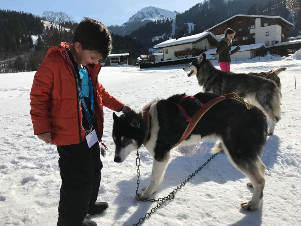 Wat een lieve husky’s en wat zijn ze lekker zacht!