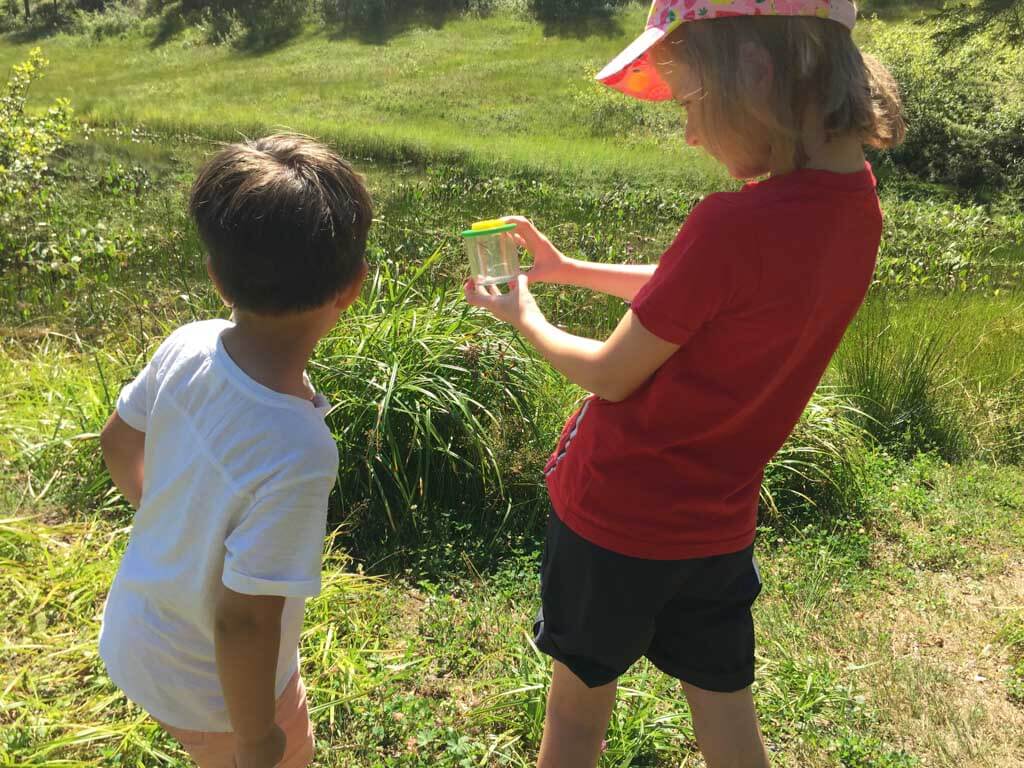 Ook de andere kinderen hebben insecten gevangen.