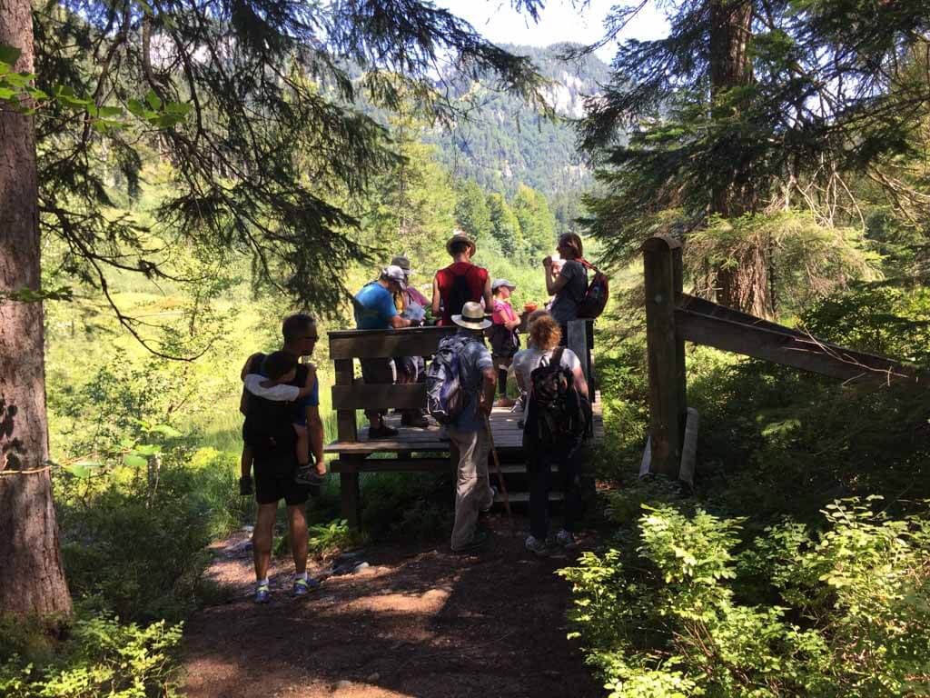 De familiewandeling in Wilder Kaiser gaat langs mooie uitzichtpunten.