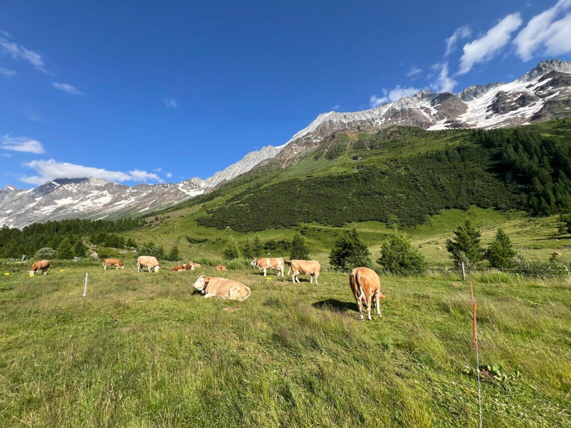 Het Lötschental, ook wel het ‘dal der dalen’ genoemd