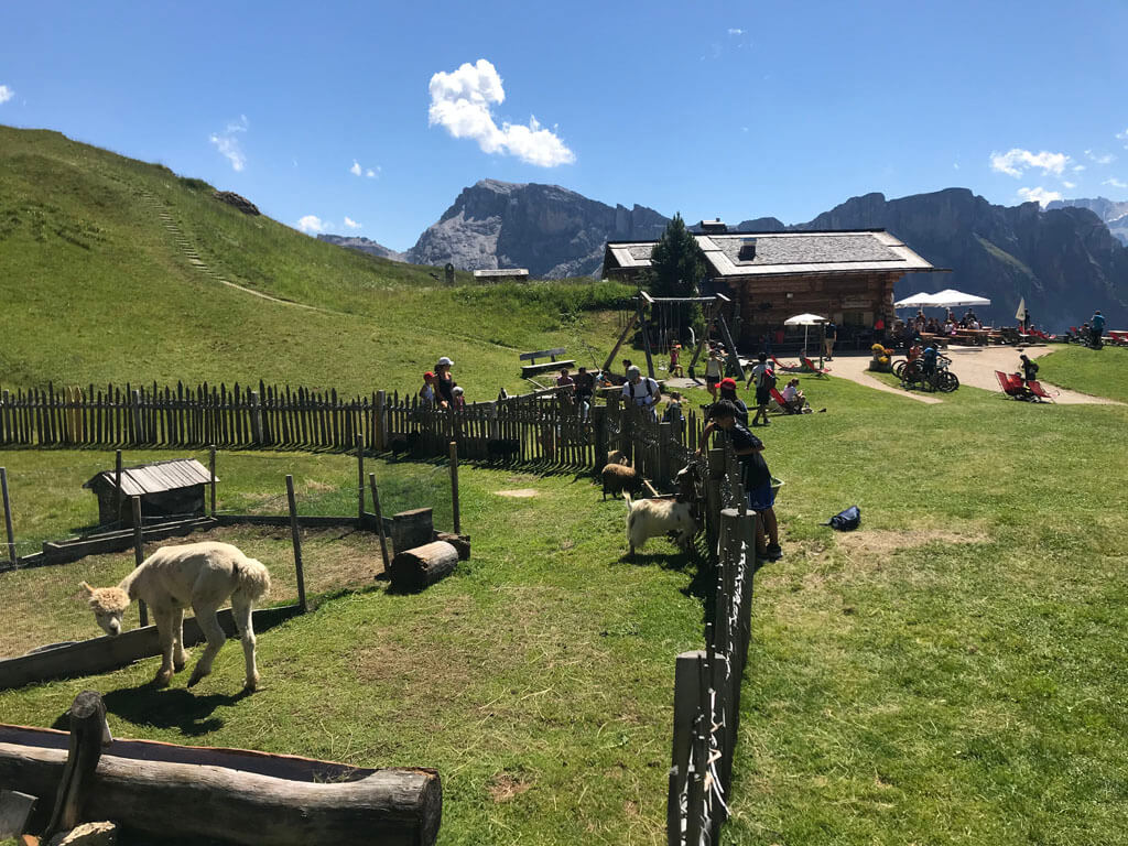 De Baita Troier Hütte op 2250 meter heeft zelfs een dierenweide.