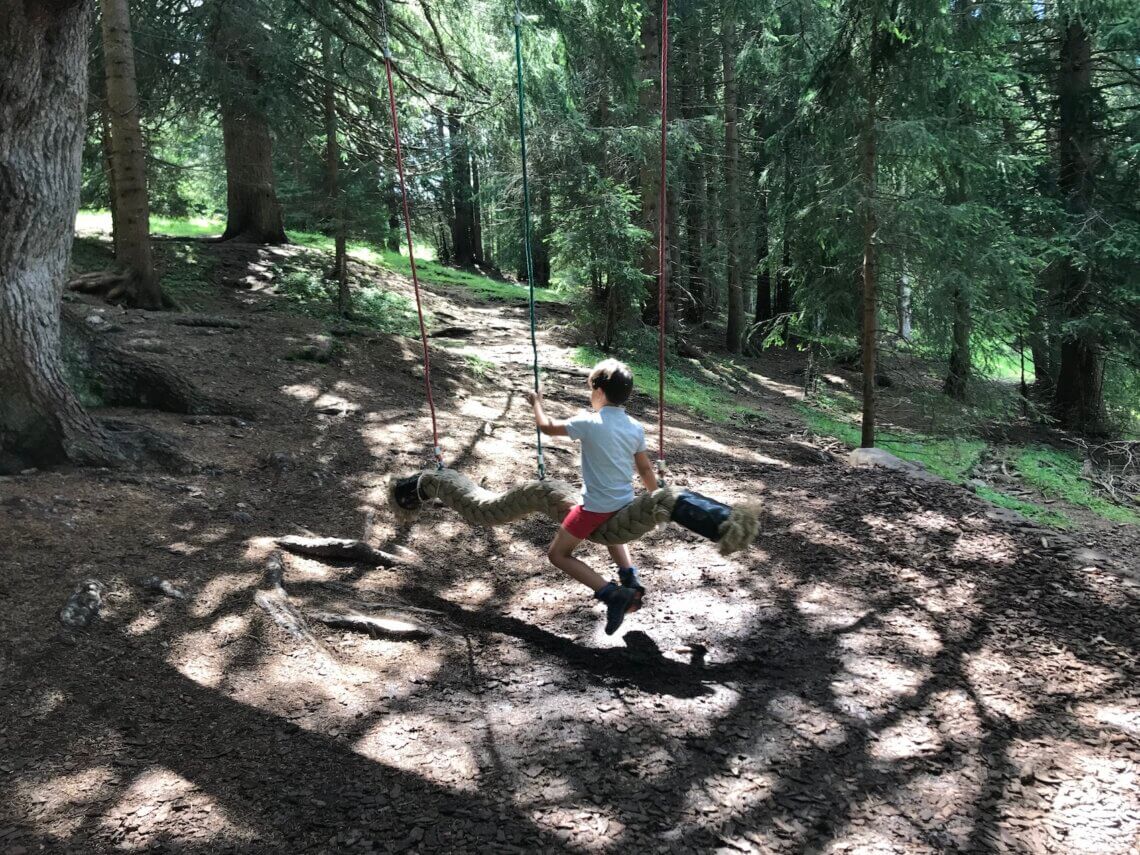 Deels gaat de wandeling over de almweide en deels door het bos.