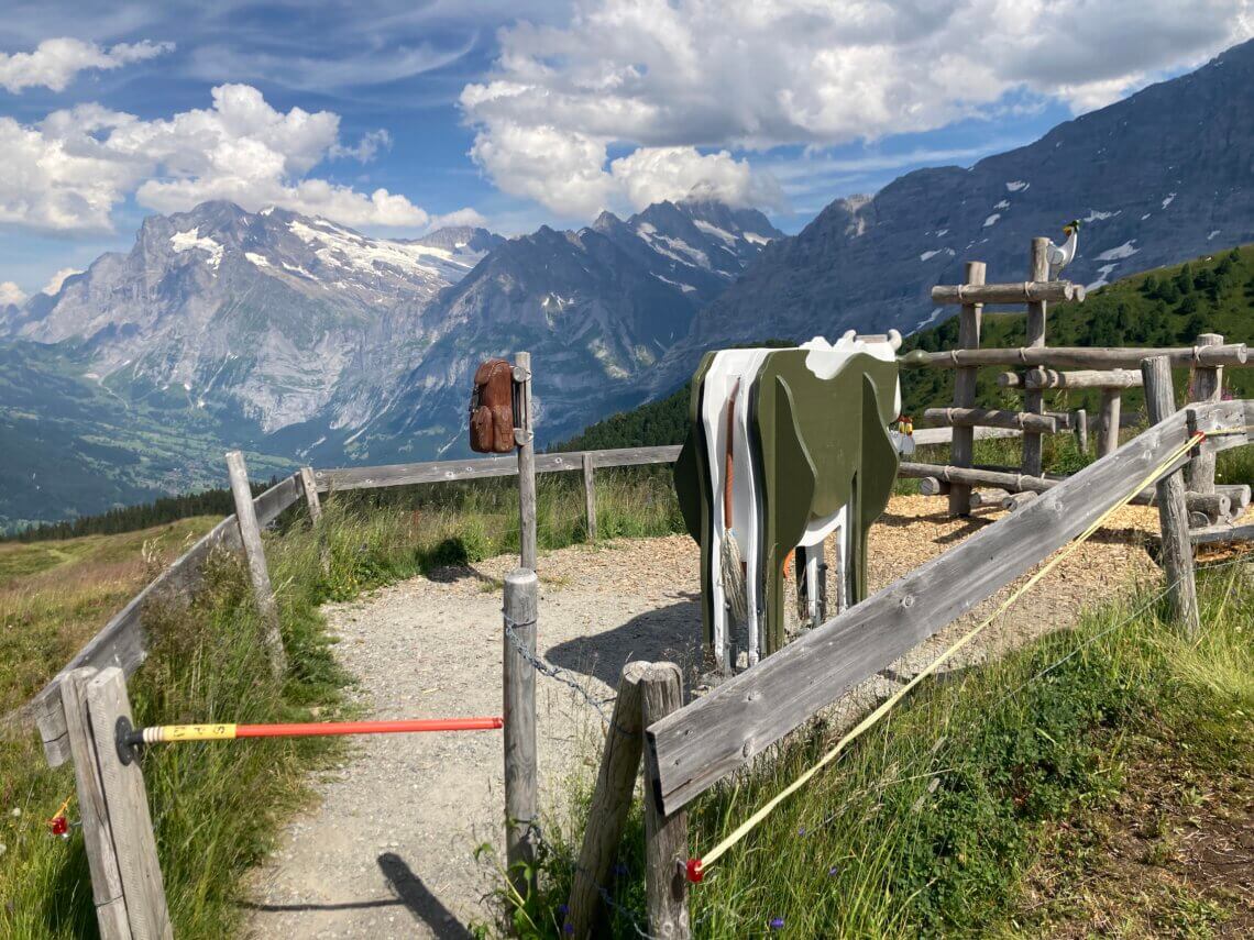 Een mooi uitzicht op de bergtoppen van de Jungfrauregio.