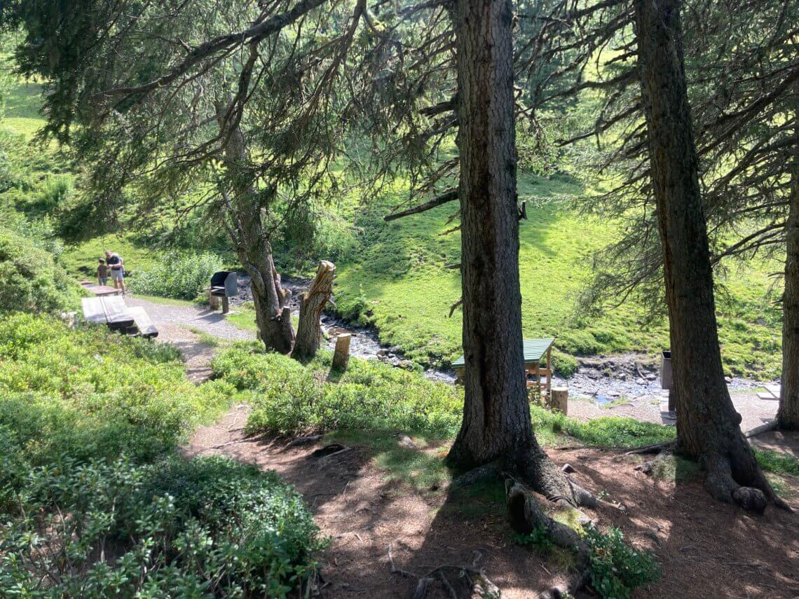 Halverwege de Lieselottetrail is een fijne picknickplek.