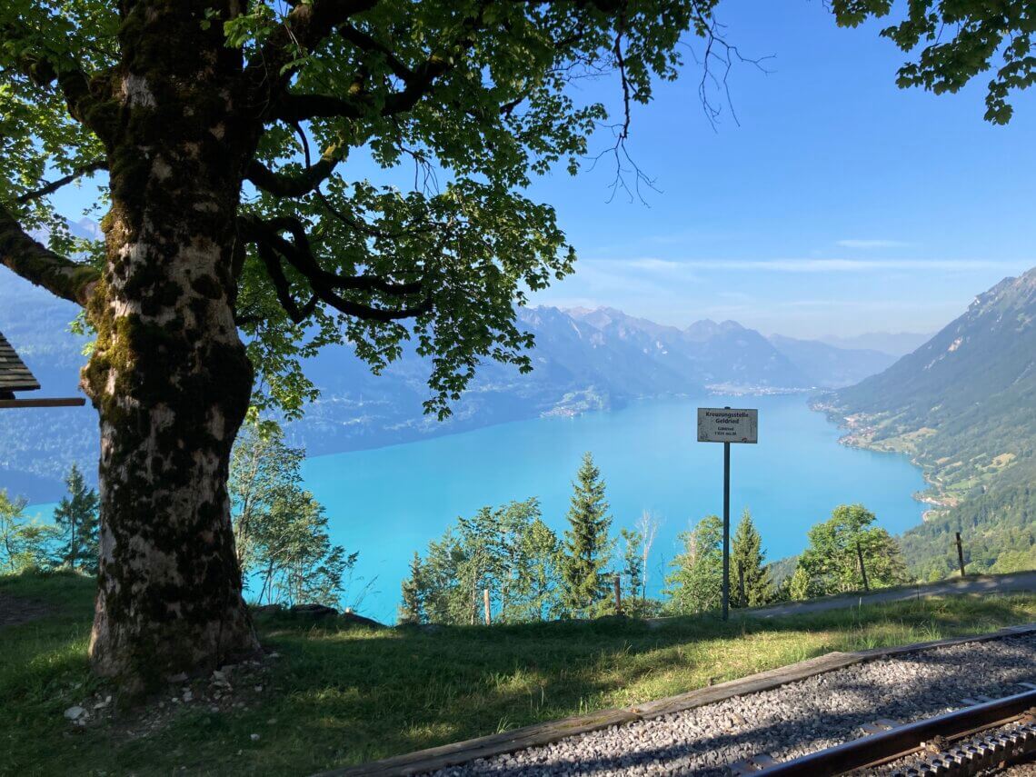 De trein gaat geleidelijk omhoog, het eerste deel zien we nog chaletjes en begroeiing.