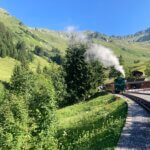 Stampen, puffen en sissen, zo gaat de trein van de Brienz Rothorn Bahn.