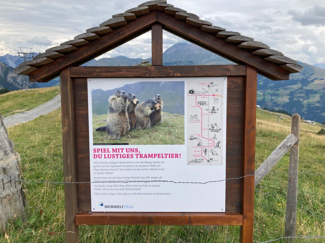 De start van de Murmelitrail in Lenk.