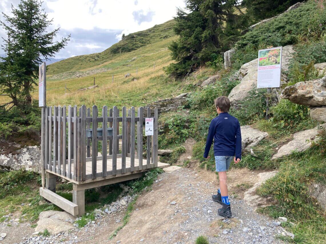 Het eerste speelstation is het uitzichtpunt en de plek waar je marmotten kunt spotten.