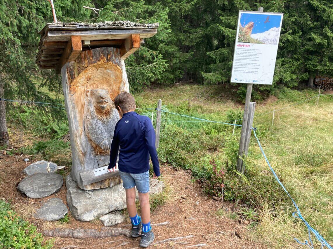 De Marmot heeft heel veel verschillende geluiden.