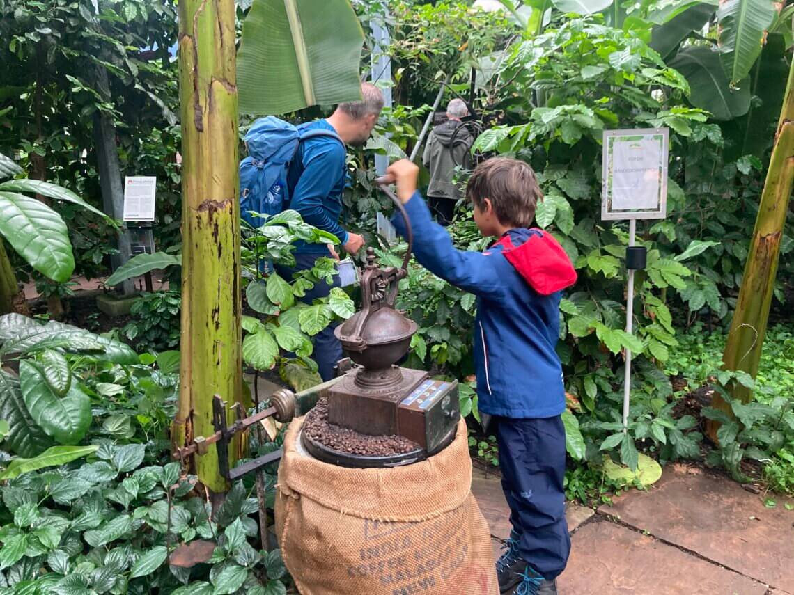 Het Tropenhaus is een ideaal uitje in Adelboden met kinderen als het regent, 