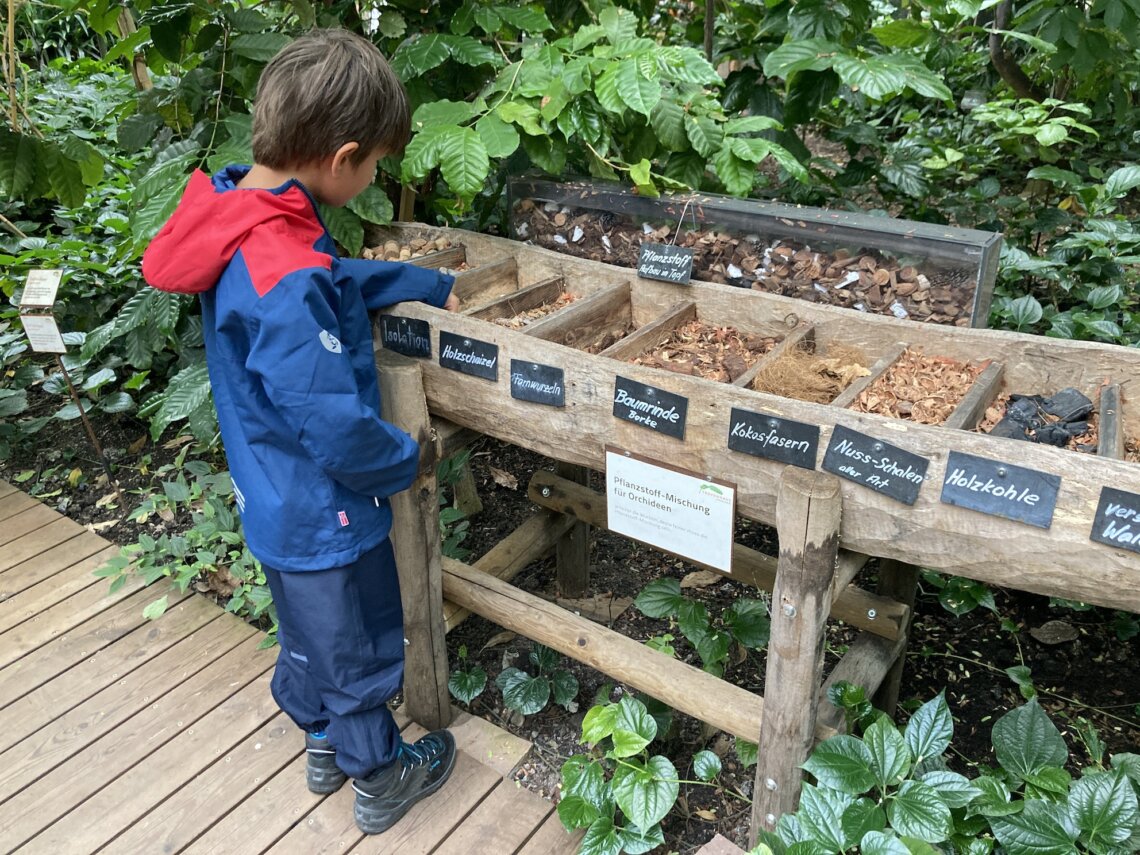 In het Tropenhaus leer je spelenderwijs alles over de Steur en tropische planten en kruiden.