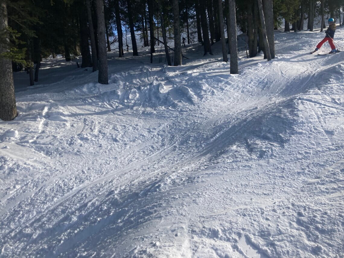 Skigebied Flachau heeft leuke bospaadjes,  erg leuk voor de kids.