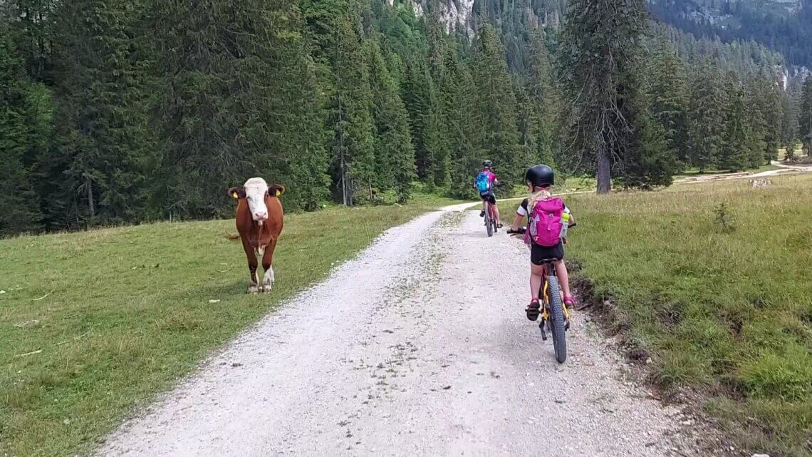 Mountainbiken door de prachtige omgeving van Ausseerland.