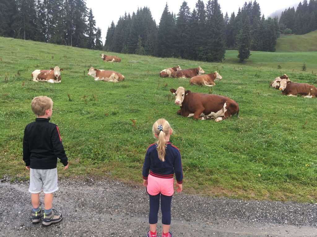 Tot ziens koeien, want tegen de verwachting in kiezen wij nu geregeld voor een zomervakantie naar de bergen met kinderen.