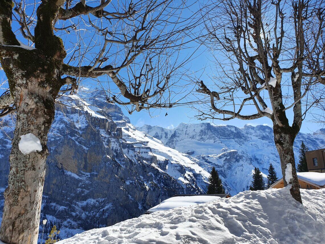 De uitzichten op de bergtoppen zijn echt ongelooflijk mooi! 