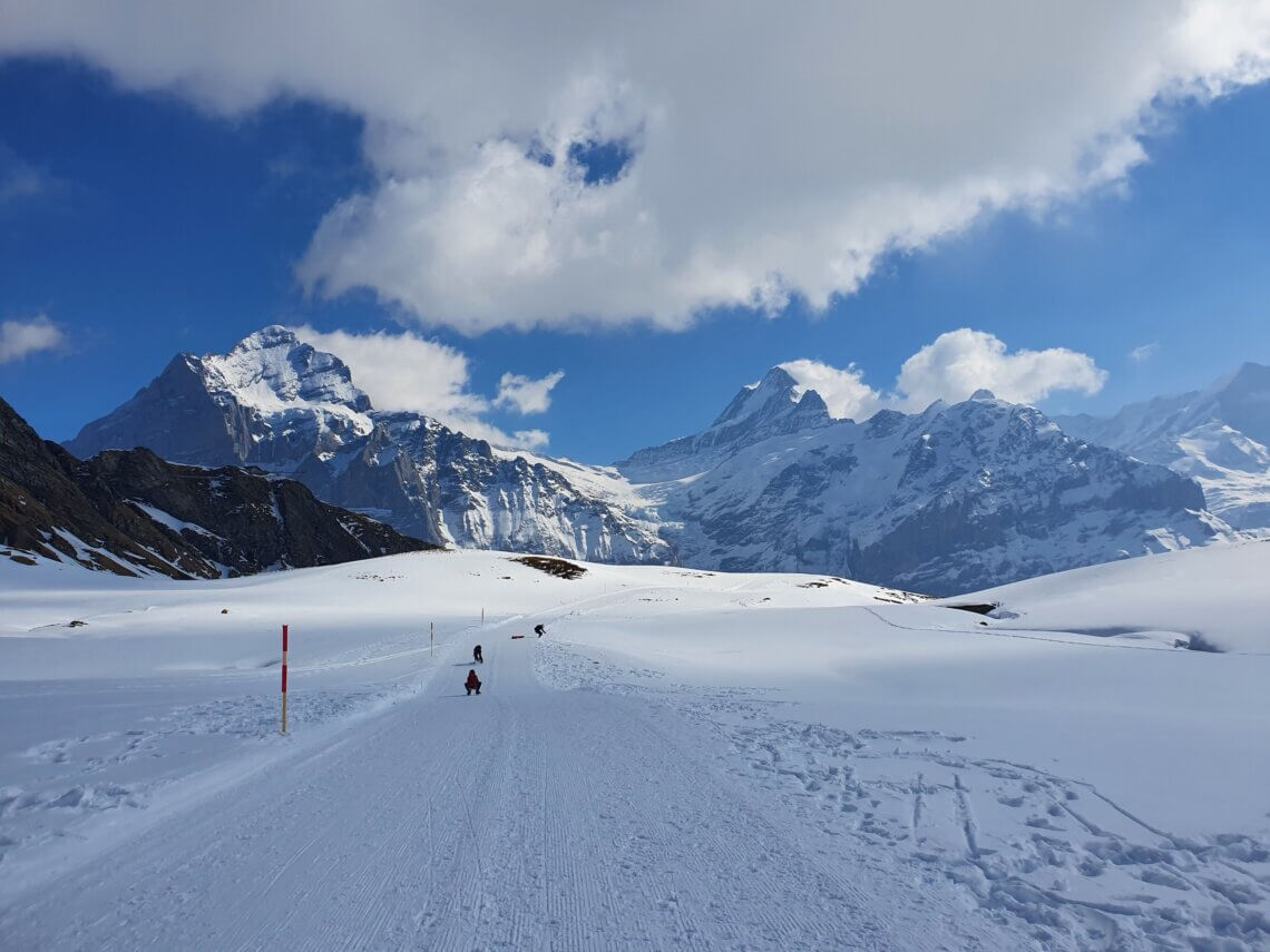 We nemen de kabelbaan terug naar First en sleeën naar Waldspitz.