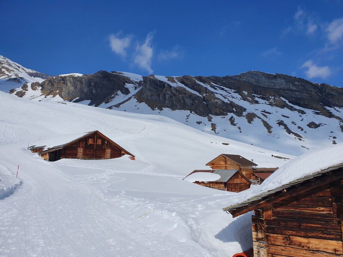 De slee-pistes zijn mooi geprepareerd en soms komen we want langs mooie Zwitserse chalets.