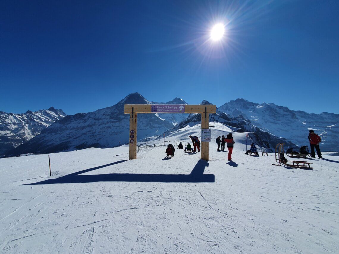 De slee-pistes zijn goed geprepareerd en gemarkeerd, bv. deze piste van de Kleine Scheidegg naar Holenstein.