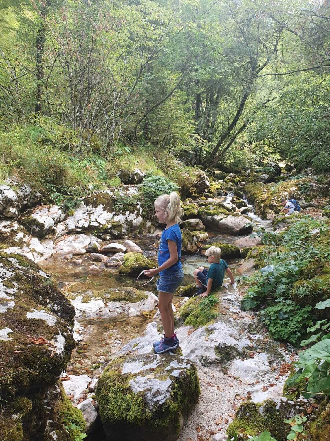 Ook een bezoek aan de Sunik water grove is een aanrader voor een vakantie naar Slovenië met kinderen.