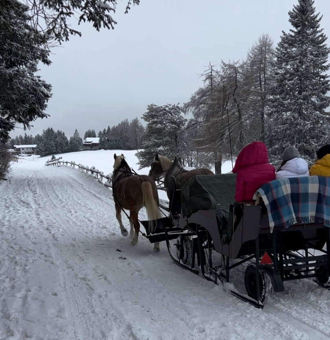 Onderweg zie ik meermaals een paardenslee voorbij komen.