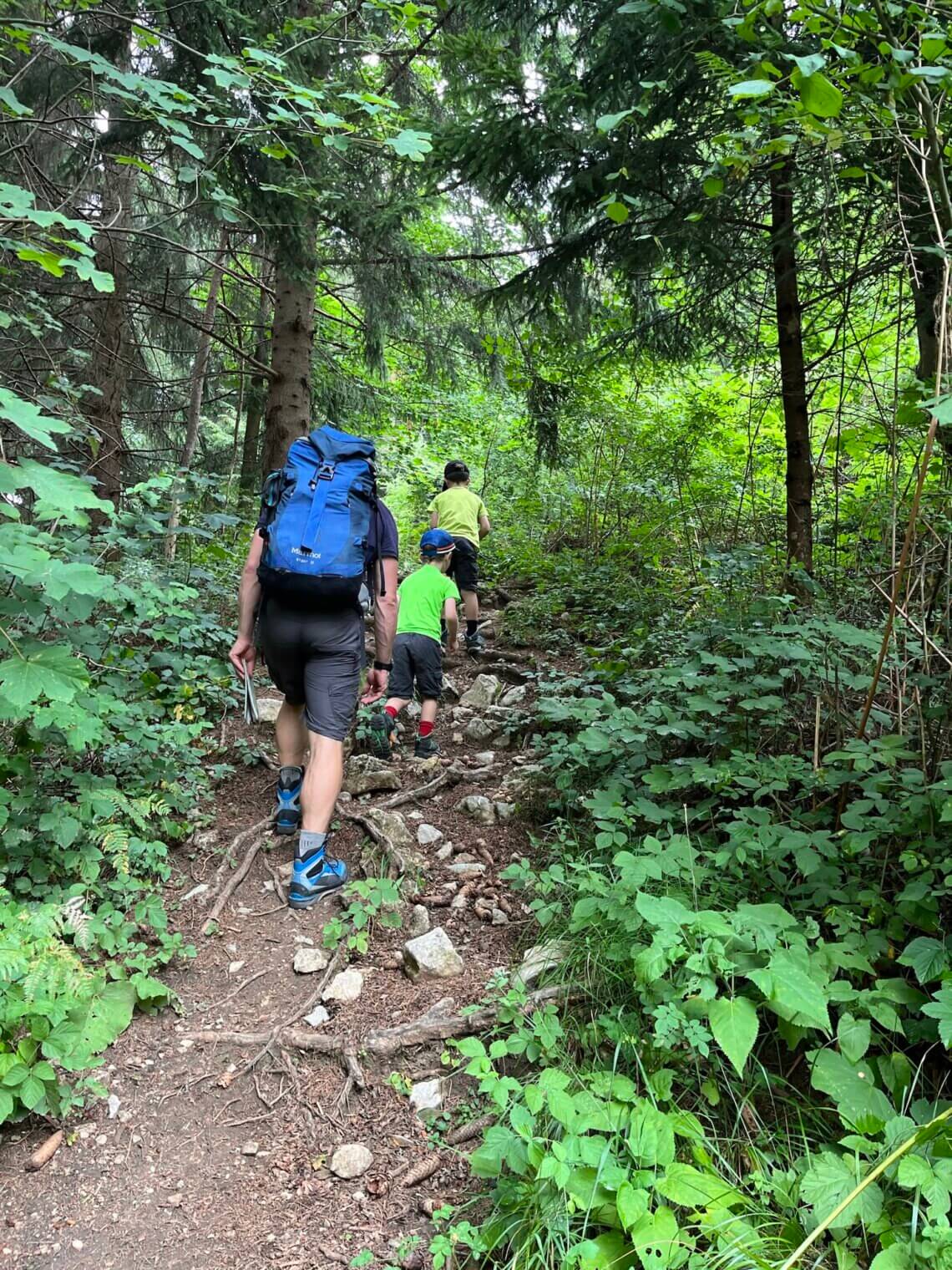 De huttentocht in Slovenië start met een klim door de bossen.