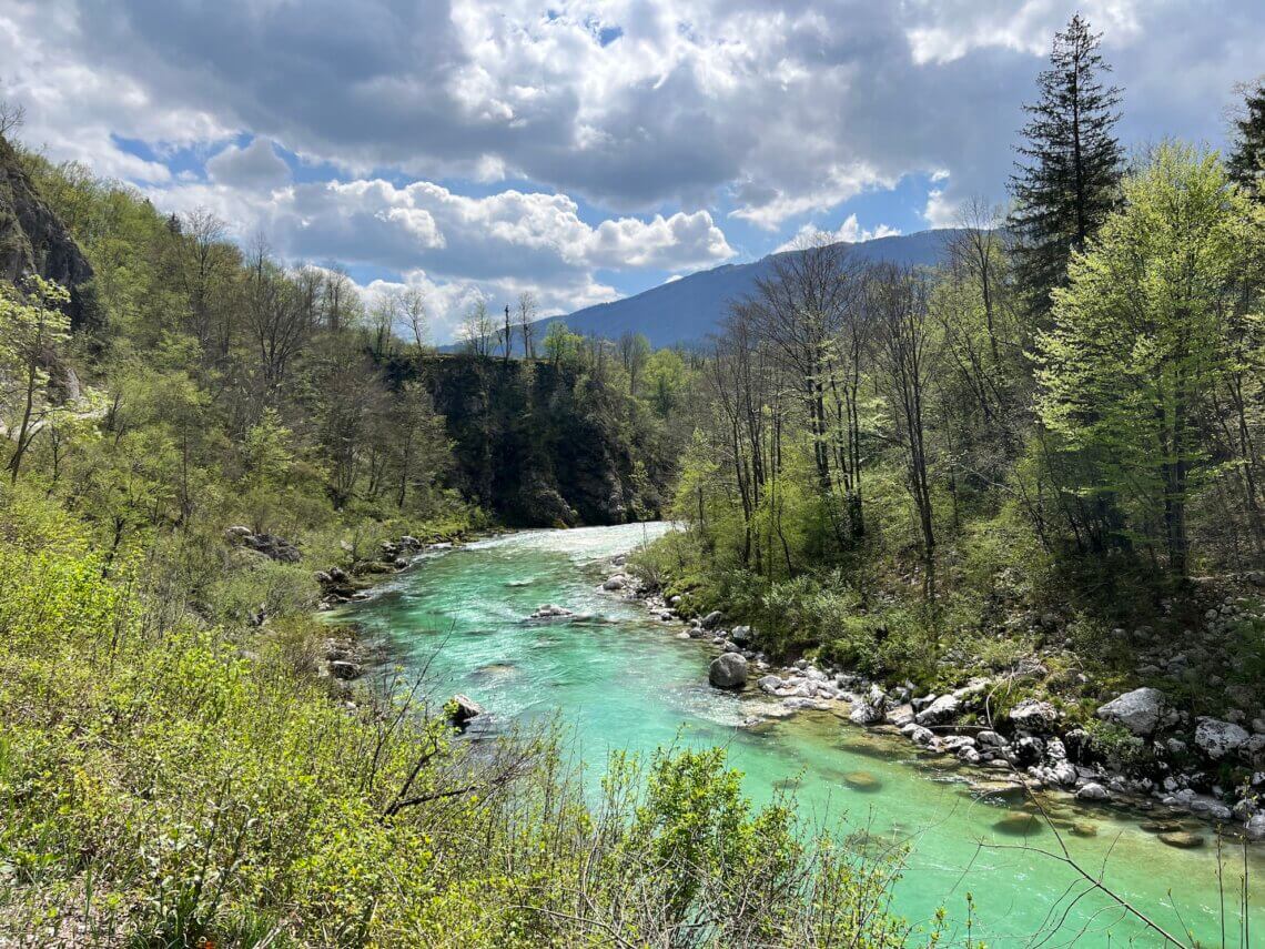 De Soča rivier heeft echt prachtig turquoise water, zo mooi! 