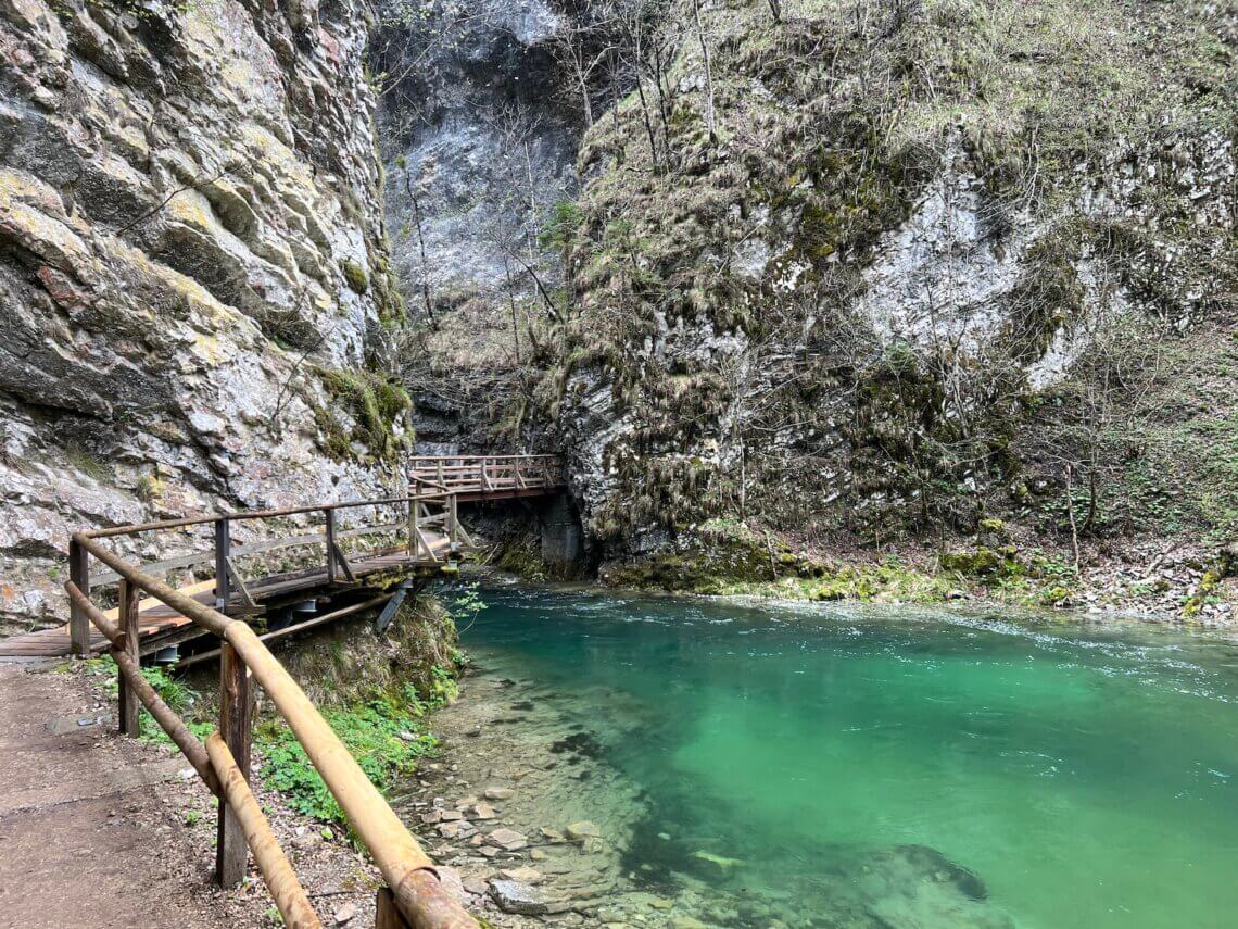 Het water is de Vintgar kloof heeft een prachtige turquoise kleur.