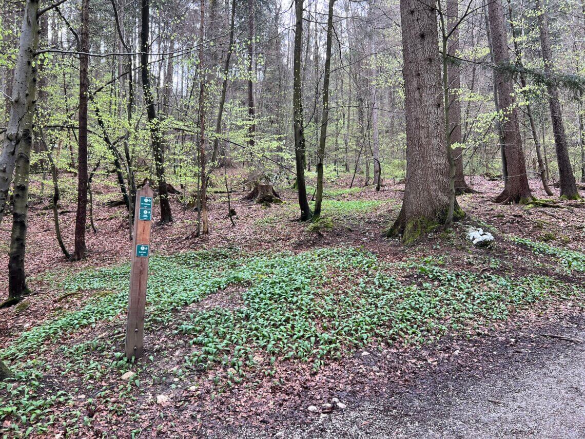De hele route staat goed aangegeven door de groene bordjes. Je loopt tot aan de kapel wel mooi in de schaduw.