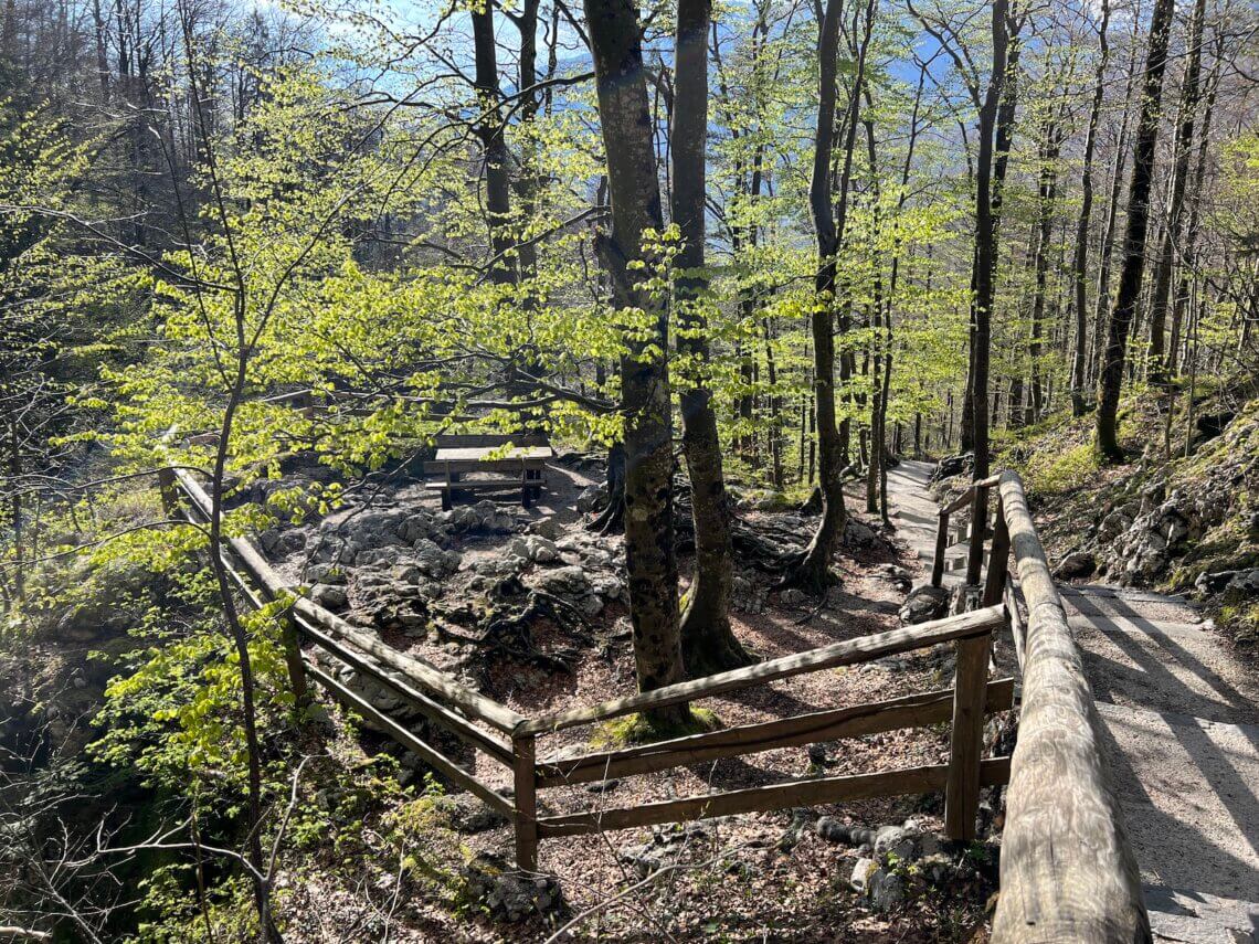 Aangekomen bij de waterval, dan loop je via dezelfde weg weer terug.