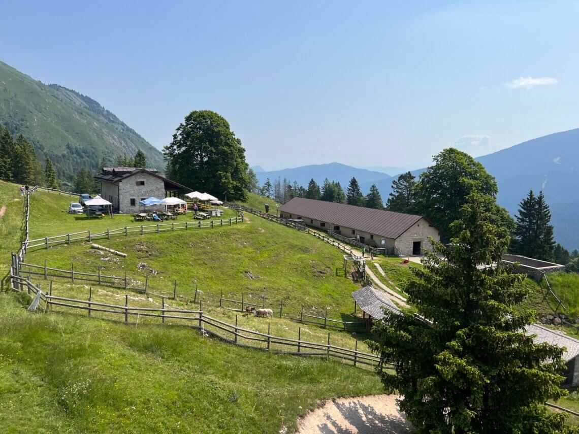 Vanuit de stoeltjeslift zien we Malga Tovre al liggen, de educatieve boerderij.