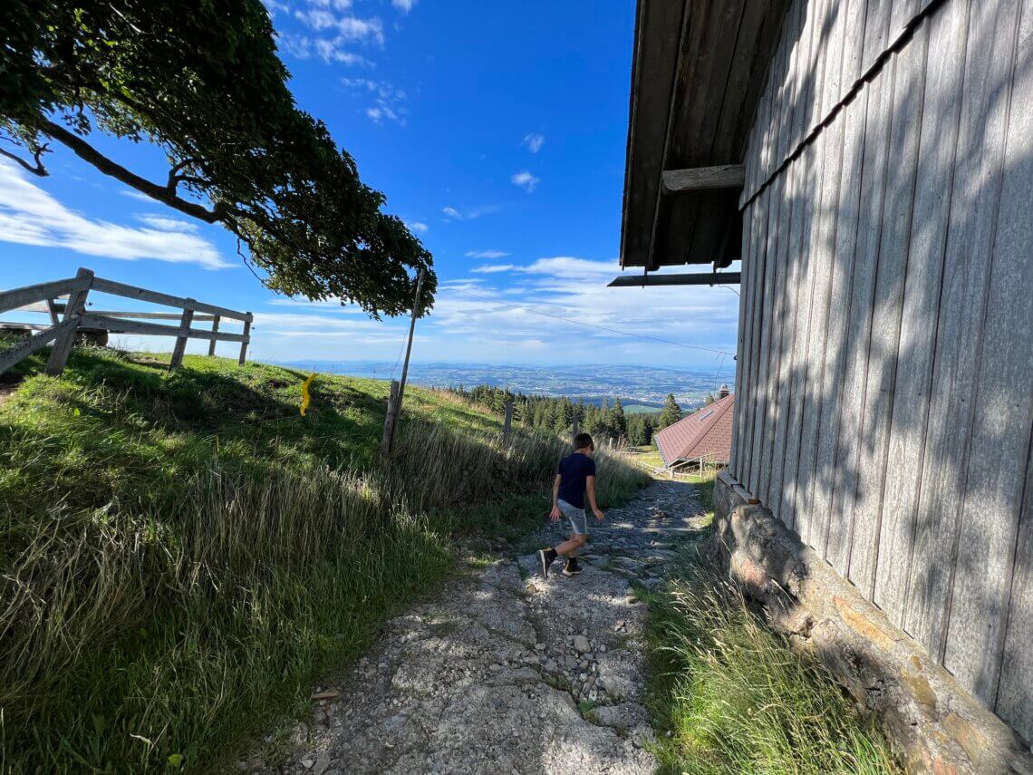 Bos en open almweiden wisselen elkaar af bij deze wandeling.