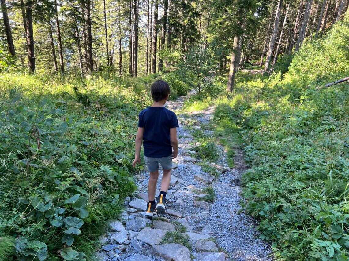 Wij wandelen van Fräkmüntegg terug naar Krienseregg, een afwisselende route van zo'n 1 uur.