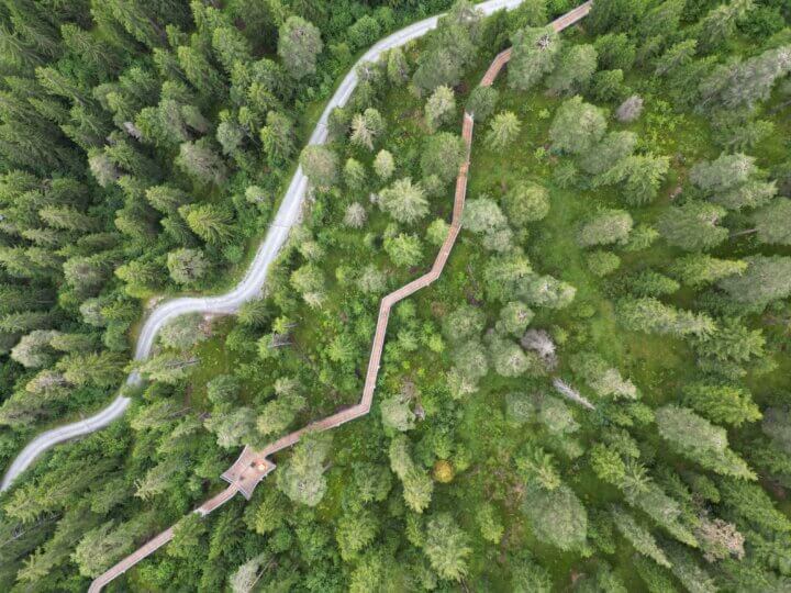 De Senda dil Dragun is het langste boomtoppenpad van de wereld.