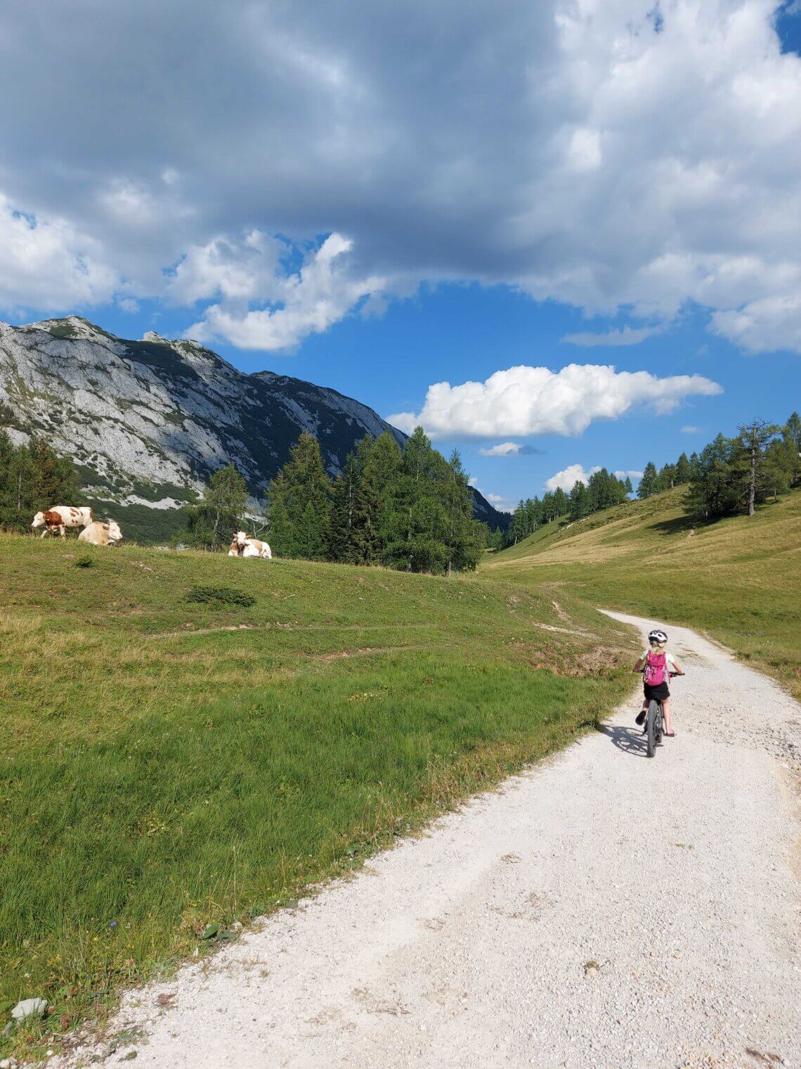 Fietsend langs de koeien over de Tauplitzalm