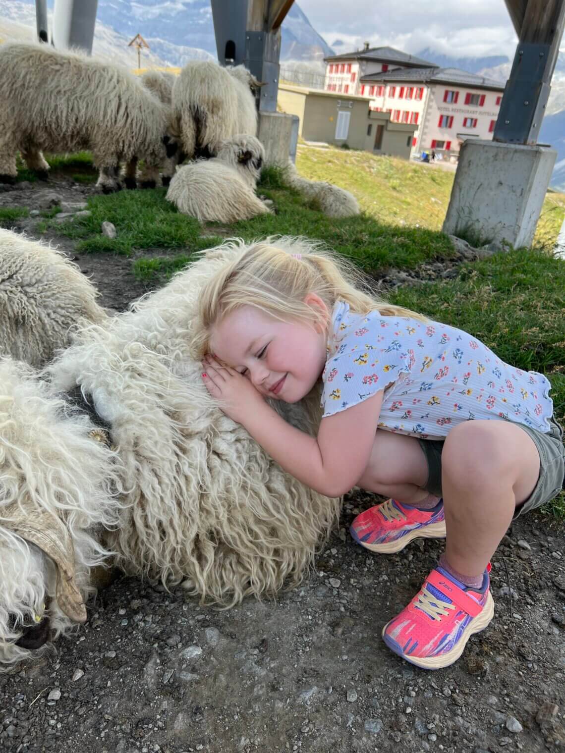 Ze zijn zo lief en zacht! 