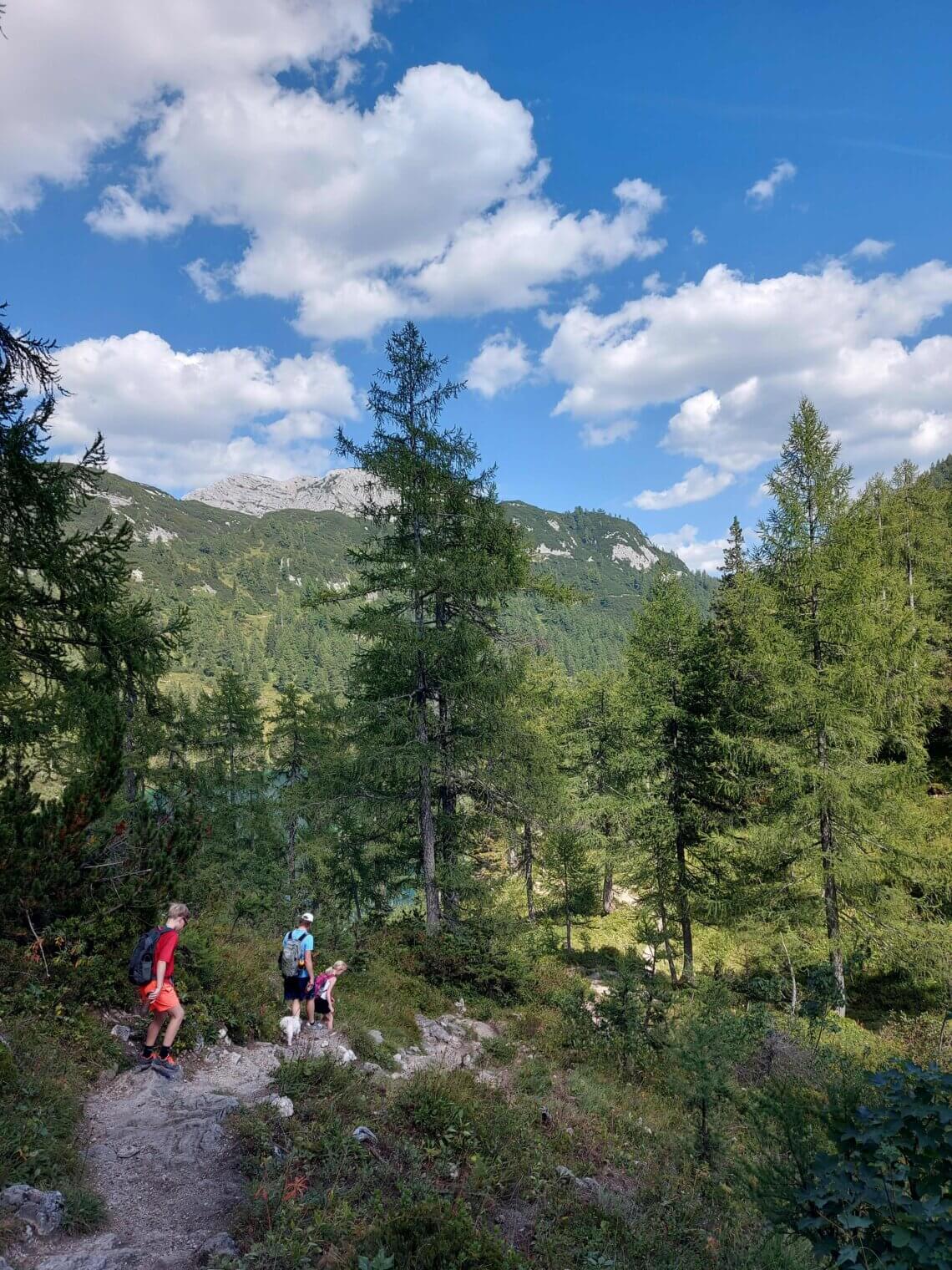 Over een steil bospad op weg naar de Steirersee