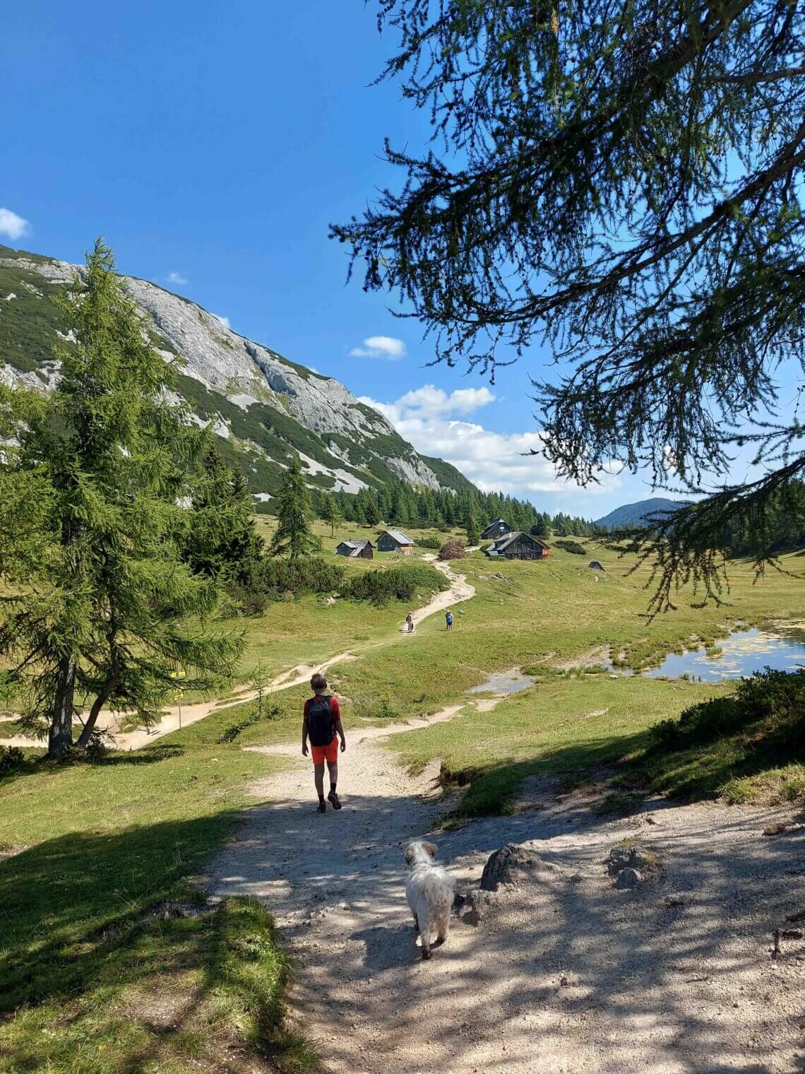 Wandelend van de Großsee, langs de Tauplitzsee,  naar de Grazerhütte