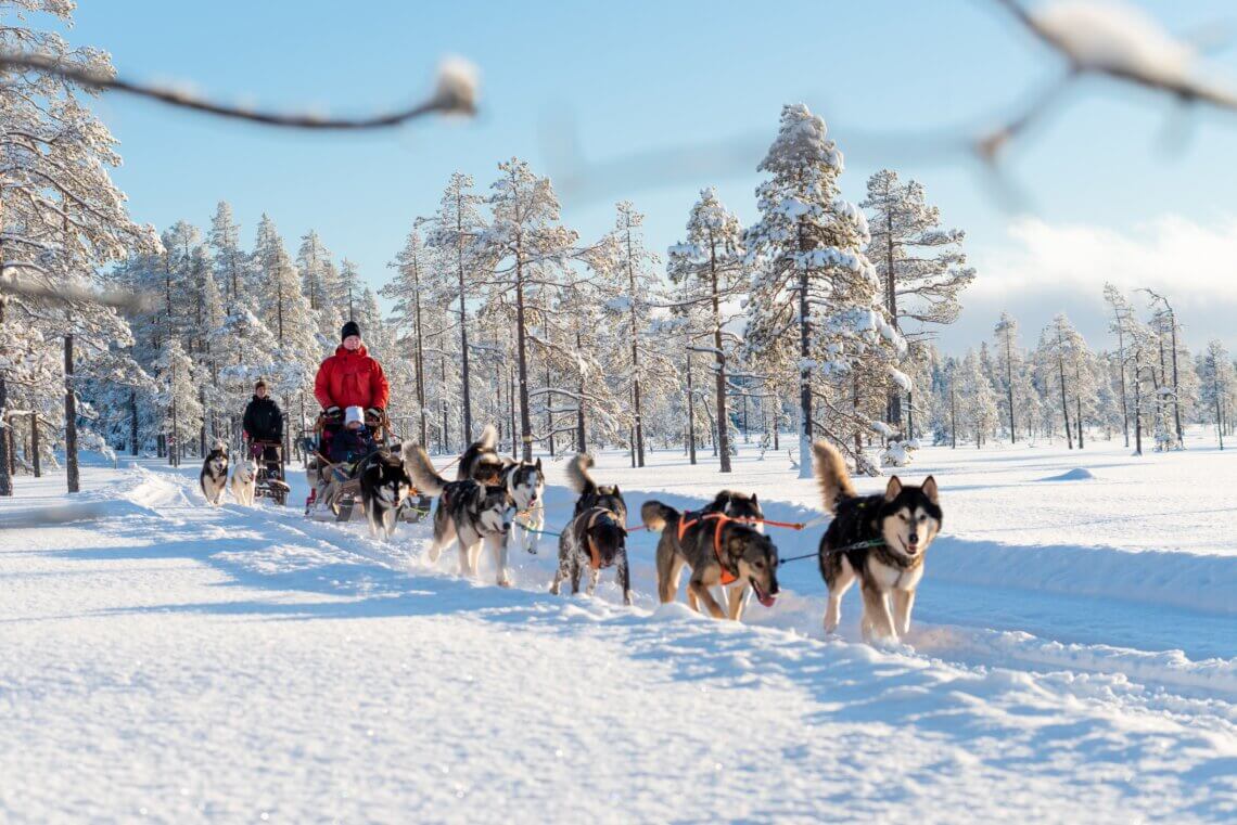 Een huskysafari is één van de vele andere activiteiten in Scandinavië.