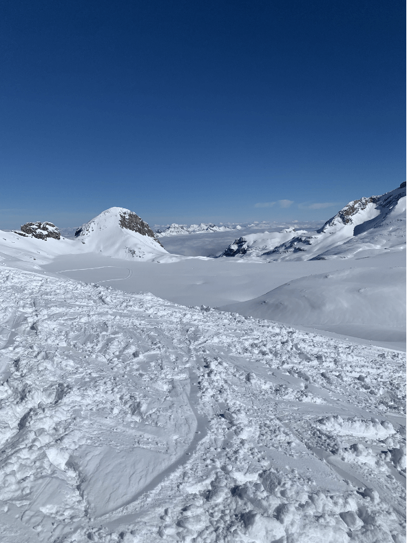 Uitzicht vanaf 3000 meter hoogte over de gletsjer en Berner Oberland aan de andere kant.
