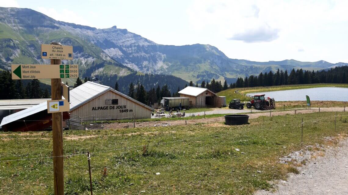 Bergweide l’Alpage de Joux