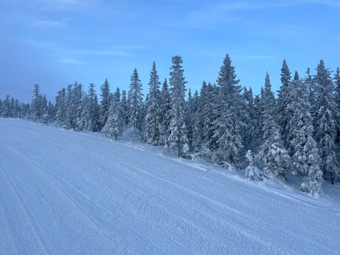 Perfecte sneeuw en pistes in Zweden!