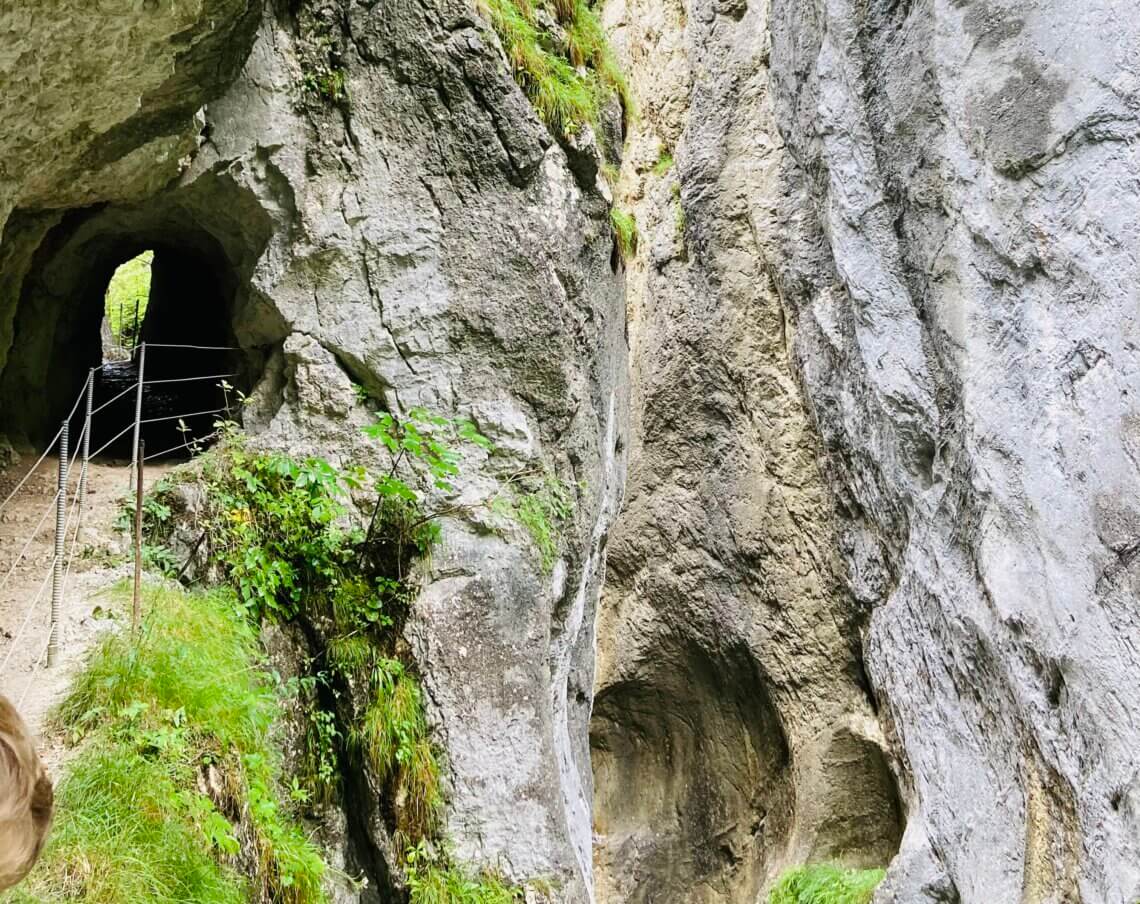 
Onder diverse 'natuurlijk' tunnels lopen we door de vallei