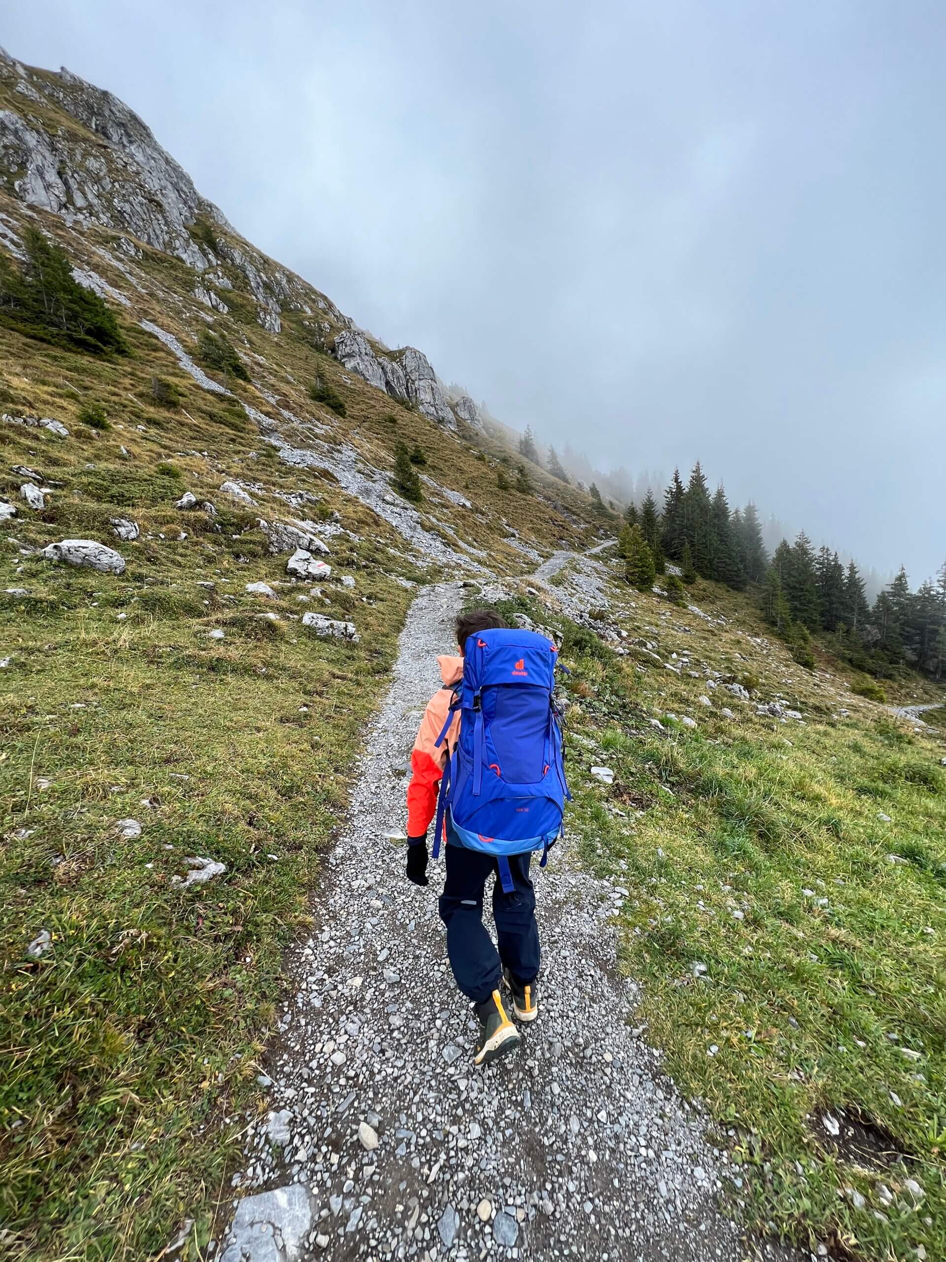 Deuter Kid s Fox 30 review van een trekking rugzak voor kinderen en tieners Kids in de bergen