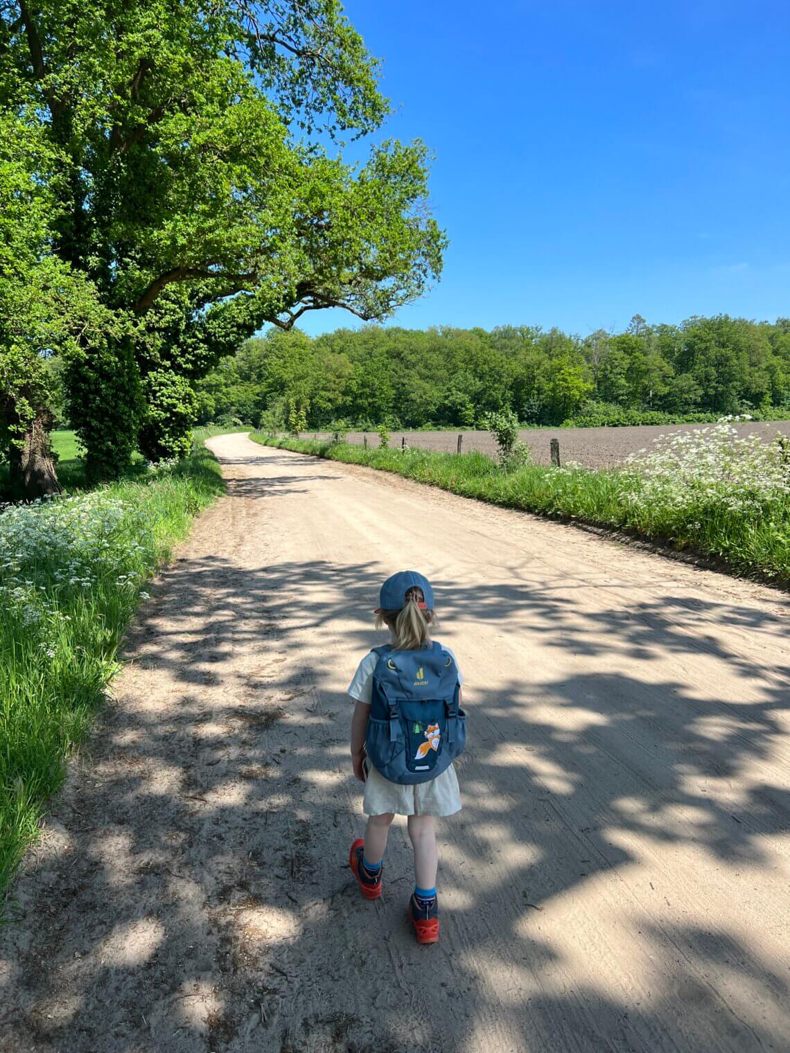 LOWA Merger GTX QC JR tijdens de wandeling