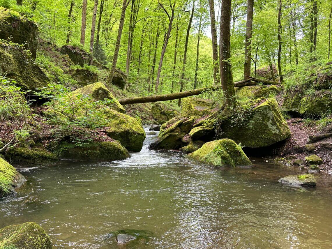 Sprookjes achtige paden in het Mullerthal