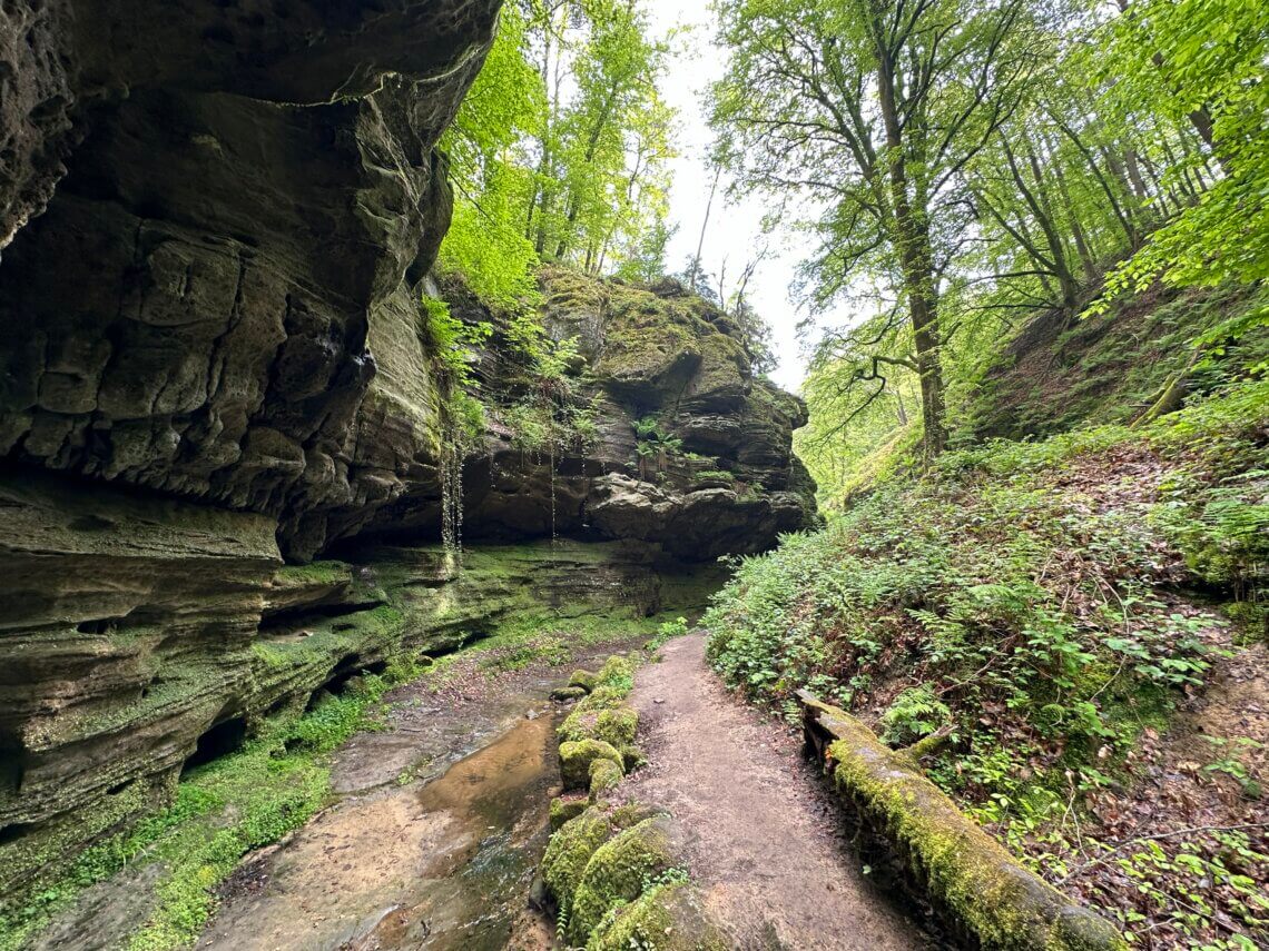 De wandeling van het Amfitheater naar kloof Perekop is echt prachtig!